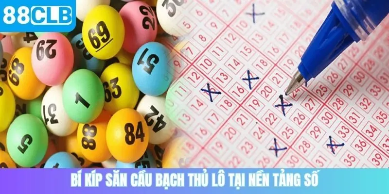 Bí kíp săn cầu bạch thủ lô tại nền tảng số