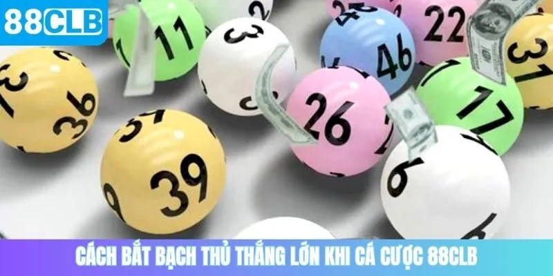 Cách bắt bạch thủ thắng lớn khi cá cược 88CLB