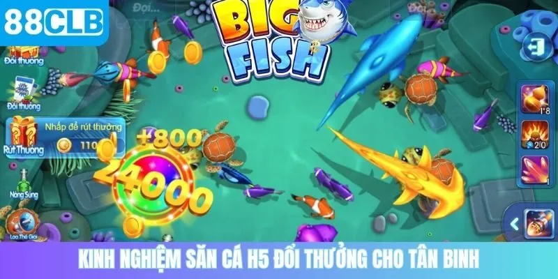 Kinh nghiệm săn cá H5 đổi thưởng cho tân binh