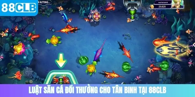 Luật săn cá đổi thưởng cho tân binh tại 88CLB