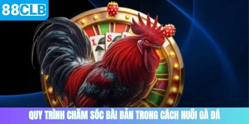 Quy trình chăm sóc bài bản trong cách nuôi gà đá