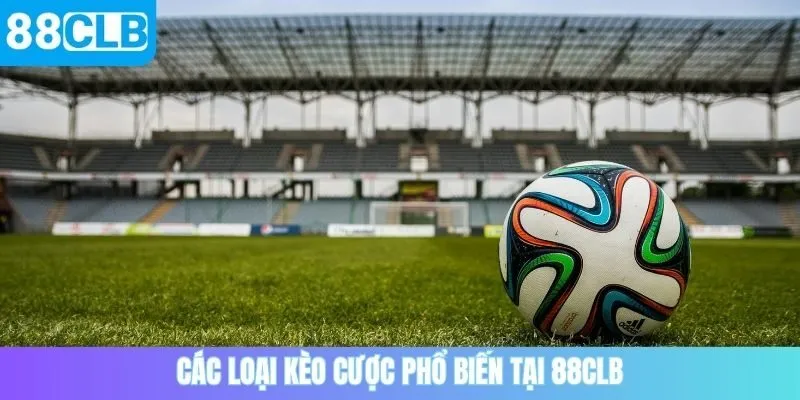 Top 3 loại kèo phổ biến tại thể thao 88CLB